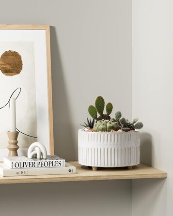 Набір горщиків для сукулентів LE TAUCI, 16,5+20 см, кераміка, з дренажними отворами, сучасний циліндричний дизайн, набір 2 шт., реактивна глазур білого кольору