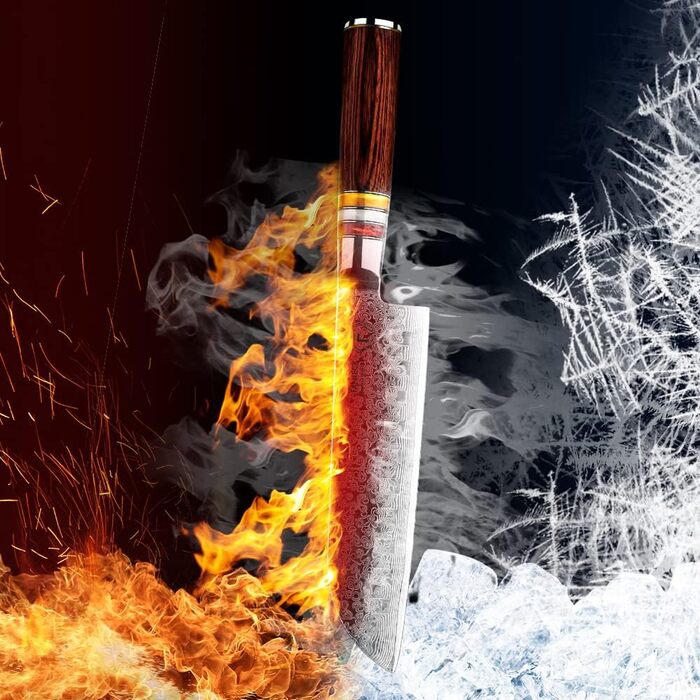 Японський ніж Gyuto FANTECK з дамаської сталі 20 см (67 шарів VG-10) - професійний кухонний ніж з ручкою з паккавуду, в подарунковій коробці