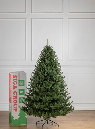 Ялинка лита 'Міланська' ПАРАСОЛЬКА ЗЕЛЕНА 2,30м