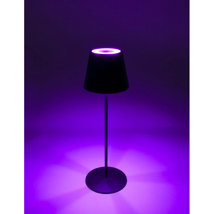 Стійка лампа Schwaiger OTL200 з нічним світлом LED, RGB, акумулятор, диммування, IP44, чорний (для дому та саду)