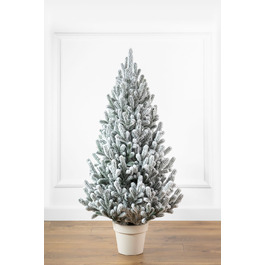 Ялинка лита 'Віденська' в горщику ЗАСНІЖЕНА 1,10м