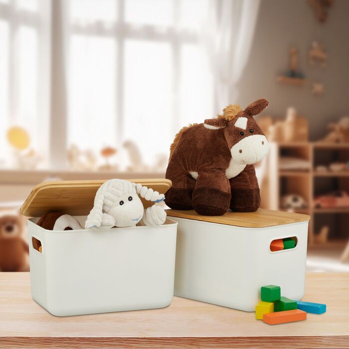 Набір з двох контейнерів для зберігання Relaxdays з кришкою