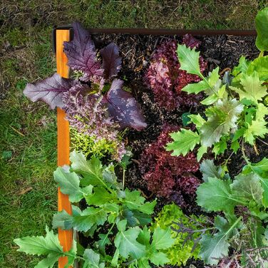 Гардленд Relaxdays - вузька грядка з дерева