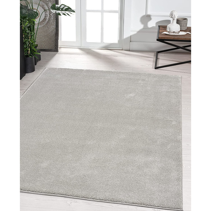 Елегантний дизайнерський килим для вітальні, м'який і не вимагає особливого догляду килим з коротким ворсом для вітальні (120 x 170 см, сріблястий)