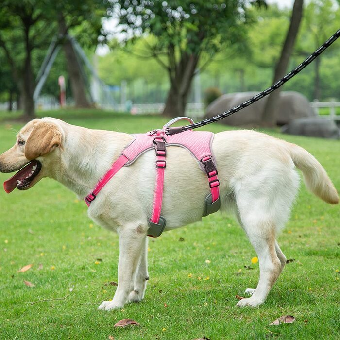 Багатоцільова шлейка для собак BELPRO, стійка до злому, що не висмикується, світловідбиваюча, регульований жилет з міцною ручкою, шлейка для великих / активних собак (м) (М (1 упаковка), рожева)