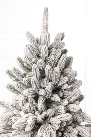 Ялинка лита 'Лапландська' ЗАСНІЖЕНА ПАРАСОЛЬКА 1,50м