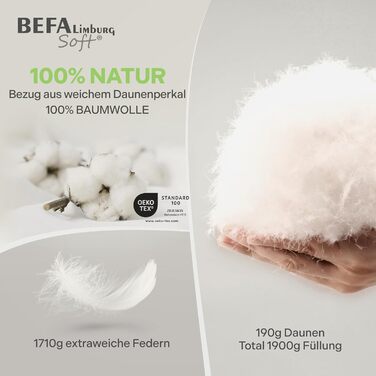 Пухова ковдра BEFA SOFT Daunendecke Winter 100x135 см, 90% перо та 10% пух, дихаюча та легка у догляді, для алергіків (NOMITE), захист тварин (DOWNPASS), Oeko-TEX Клас 1, виготовлено в Німеччині