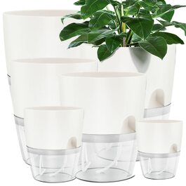 колір: білий