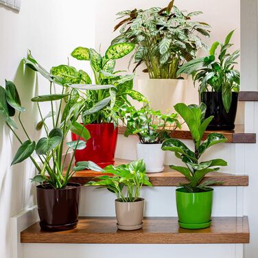 Набір горщиків для квітів KADAX (3 шт., 20 см, бежевий) – пластикові горщики для дому, підвіконня, кімнатних рослин та трав