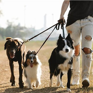 Повідець для собак, повідець для собак 3 в 1, нейлоновий повідець для собак, повідець для собак, повідець для собак із захистом від натягу, повідець для бігу підтюпцем, Регульований, для середніх, маленьких собак, для 1,2 або 3 собак