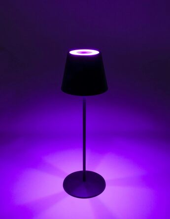 Стійка лампа Schwaiger OTL200 з нічним світлом LED, RGB, акумулятор, диммування, IP44, чорний (для дому та саду)