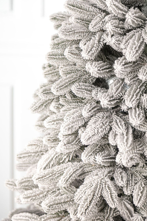 Ялинка лита 'Лапландська' ЗАСНІЖЕНА ПАРАСОЛЬКА 1,50м