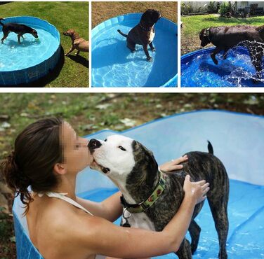 Басейн для собак середній - 120 см, 8001 Chill Out - Splash and Fun -