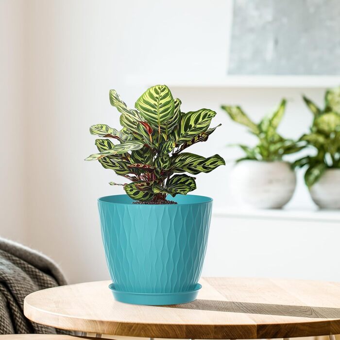 Набір горщиків для квітів з системою поливу (5 шт.), 17.8 см, з підставкою, для дому та балкону (темно-зелений)