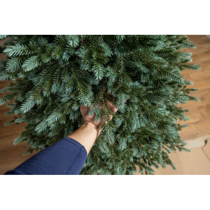 Ялинка лита 'Аляска' ПАРАСОЛЬКА ЗЕЛЕНА 1,50м