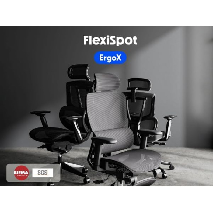 Органічний офісний стіл FLEXISPOT ErgoX: ергономічний крісло з 3D підлокітниками, 3D-підголівником, 5D-регулюванням спинки, дихаюча сітка, до 130 кг, темно-сірий