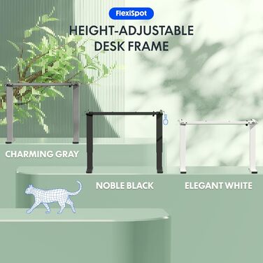 Електричний регульований стіл FlexiSpot з пам'яттю висоти та LED-дисплеєм, чорний (EN1)