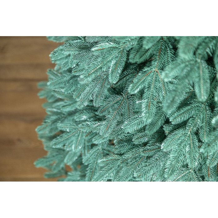 Ялинка лита 'Лапландська' ПАРАСОЛЬКА БЛАКИТНА 1,50м