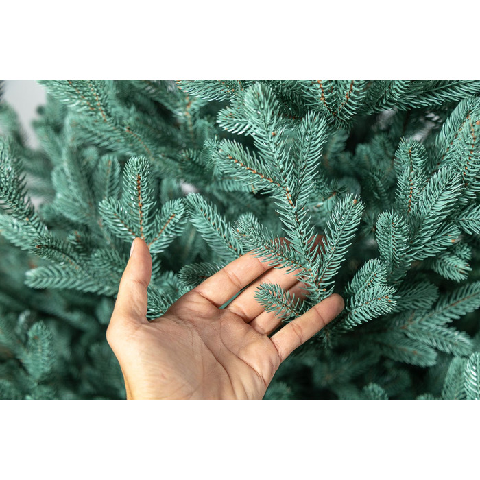 Ялинка лита 'Віденська' Блакитна 3,00м