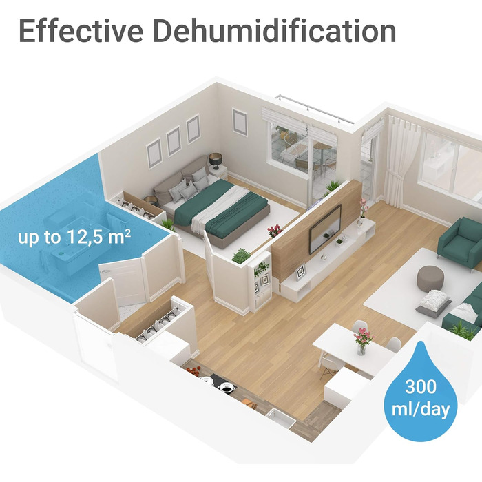 SUNTEC DrySlim 300 point: Електричний осушувач повітря для дому - 20 л/день, 63 м2, 3-в-1 (осушувач, очищувач, сушарка)