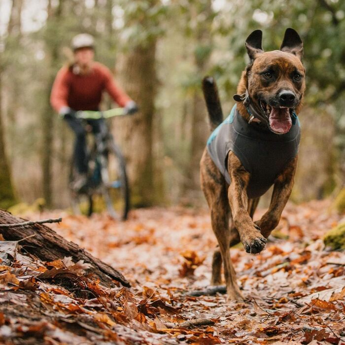 Светр зі зміною клімату RUFFWEAR, погодостійка тепла куртка для собаки з рукавами кепки, XS (Glacier)