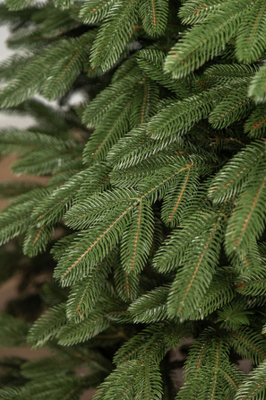 Ялинка лита 'Лапландська' ПАРАСОЛЬКА ЗЕЛЕНА 2,10м