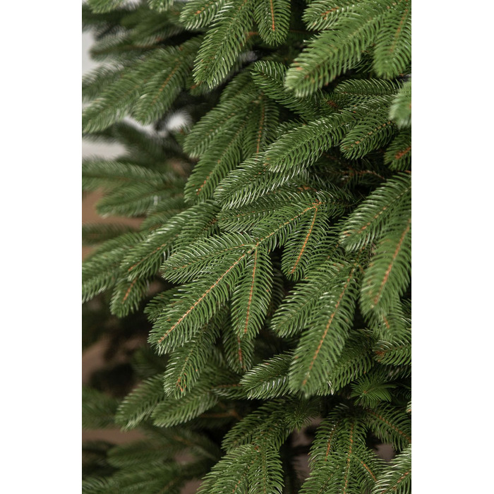 Ялинка лита 'Лапландська' ПАРАСОЛЬКА ЗЕЛЕНА 3,00м