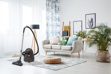 Пилголом Bestron з мішком: потужний, з HEPA-фільтром та телескопічною трубою, радіус дії 7.5м