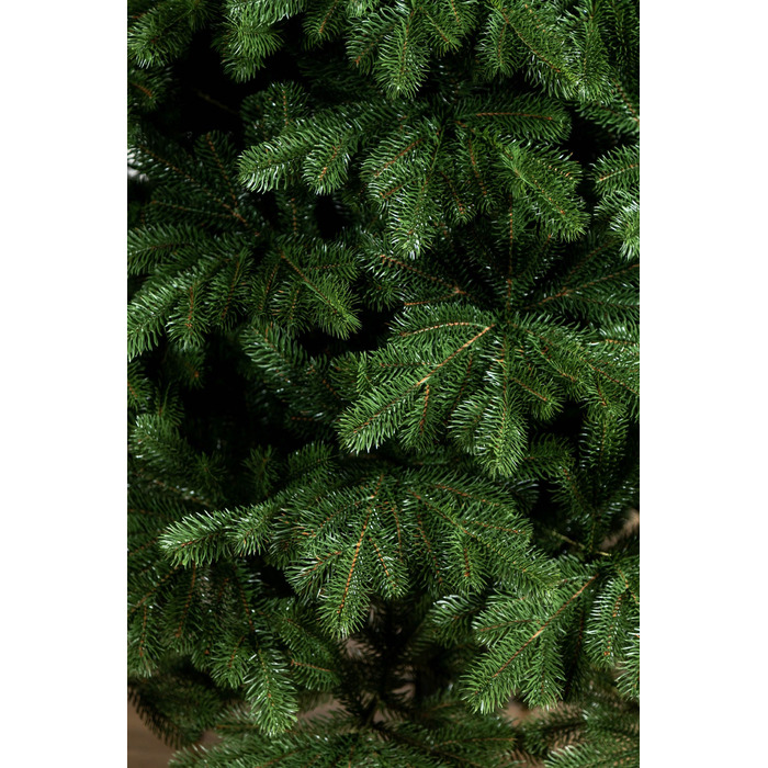 Ялинка лита 'Версальська' Зелена 1,80м