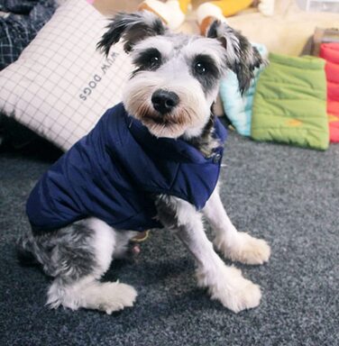Зимовий одяг для домашніх тварин, мила тепла куртка для домашніх тварин, жилет, пальто, теплий жилет для французького бульдога (XL, Синій), XL Синій