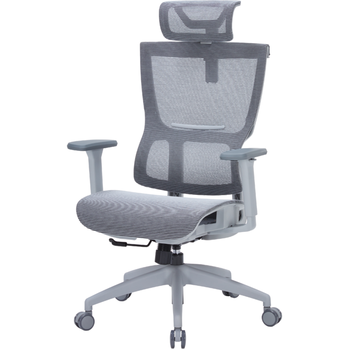 Крісло офісне OfficePro Elegant OC660-G-DG-DG