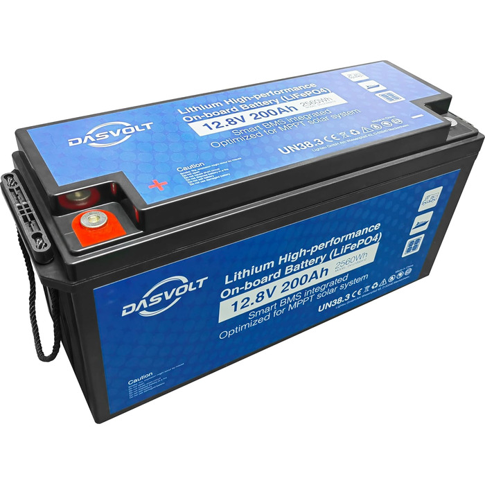 Акумулятор DASVOLT 12V 2560Wh LiFePO4 з BMS для автофургону, домашнього резервування, сонячної енергії, автономної мережі, морського транспорту (100 Ач)