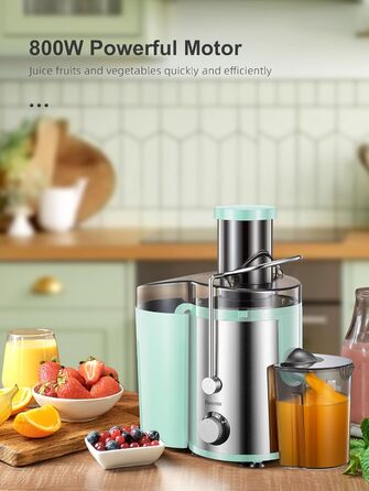 Шокер-віджимач Reemix для овочів та фруктів, професійний соковичавник з нержавіючої сталі, 800W, 3 швидкості, Aqua
