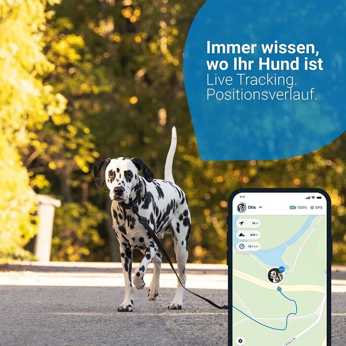 Тяговий GPS-трекер для собак. Рекомендовано Мартіном Рюттером. Відстеження в реальному часі з необмеженим охопленням. Водонепроникний і з сигналізацією про розлив (коричневий)