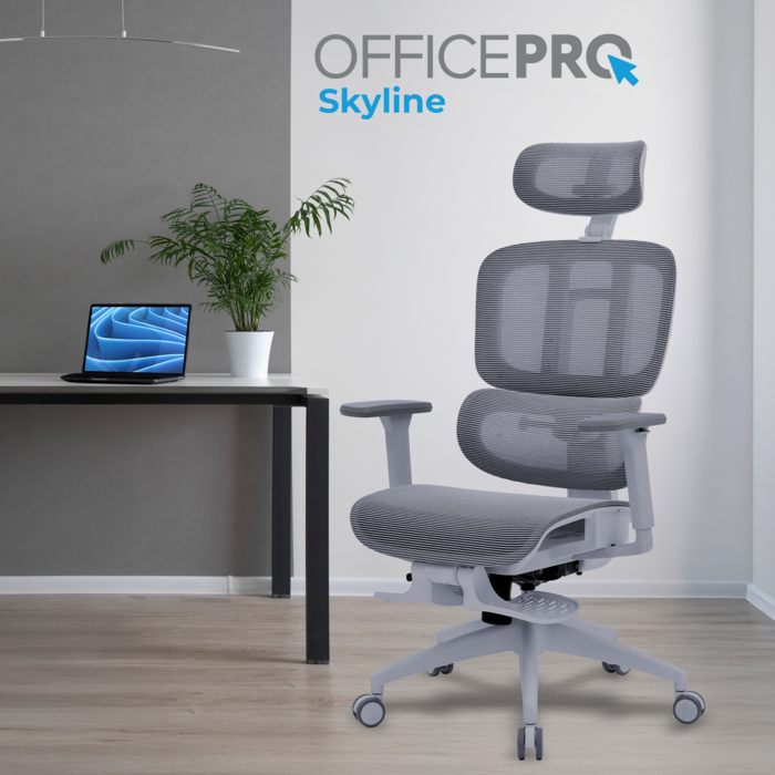 Крісло офісне OfficePro Skyline OC750-G-DG-DG