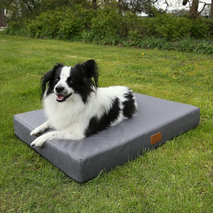 Ортопедичний лежак для собак Biella 80x60x10 см, Oeko-TEX, миється