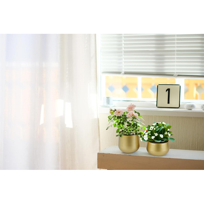 Квітчаки для саду Vixdonos з латуні, 2 шт. (19,5 см, 16/19 см), круглі, для сукулентів, золотистого кольору