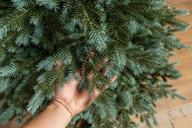 Ялинка штучна 'Аляска' Зелено-Блакитна 1,50 м