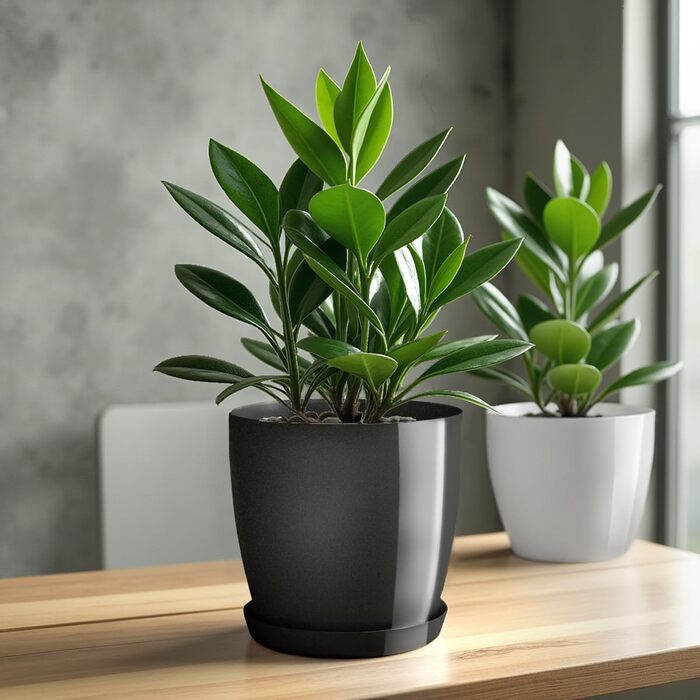 Набір квіткових горщиків KADAX (3 шт.): 20 см та 28 см, антрацит, пластик для дому