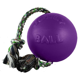 М'яч Jolly Pets Romp-n-roll, фіолетовий, L/XL