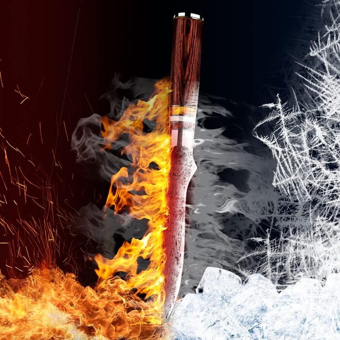 Японський кухонний ніж FANTECK Gyuto з дамаської сталі 67 шарів (20 см) з ручкою Pakkaholz. Професійний ніж для кухні, 5.5 дюймів. У подарунковій коробці.