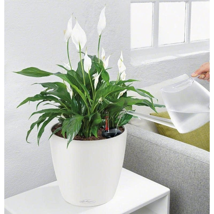 Кашпо Lechuza Classico Premium 21 LS, Комплект, Білий, 22x22x20 см, Високий Глянцевий, Одиничний