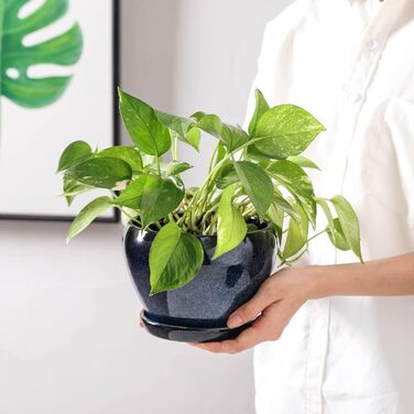 Керамічні горщики для квітів Vicrays - 16,5 см, з дренажем та підставкою, для сукулентів, орхідей, квітів, трав, кактусів, для дому та саду, блакитний