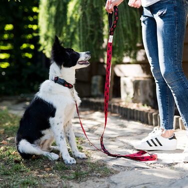 Повідець для собак Beddog Емма, регульований на 3 довжини, подвійний повідець, повідець для вигулу, повідець для вигулу, поводок для собак середнього і великого розміру, загальна довжина 2 м - (2 м/25 мм, червоний / чорний)
