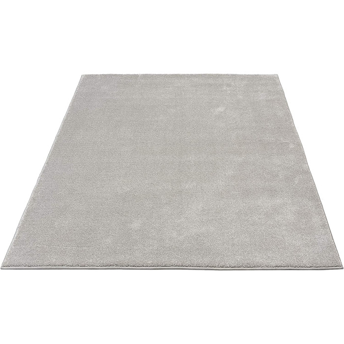 Елегантний дизайнерський килим для вітальні, м'який і не вимагає особливого догляду килим з коротким ворсом для вітальні (120 x 170 см, сріблястий)