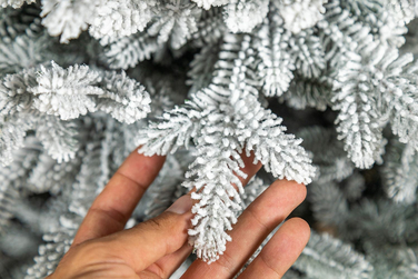 Ялинка лита 'Альпійська' ЗАСНІЖЕНА 2,30м