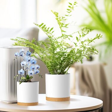 Набір горщиків для квітів з підставкою (5 шт.), 17.8/15.2/14/12.7/10.2 см, пластик, для дому та балкона, зелений з коричневим підставкою