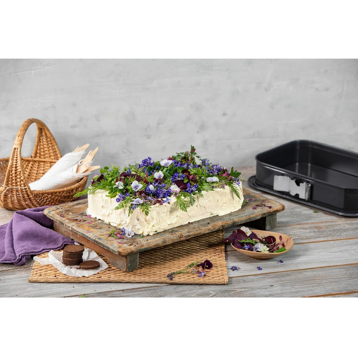 Форма для випічки Kaiser La Forme Plus прямокутна 35 x 24 см з емальованим дном, антипригарне покриття, для торту, тирамісу