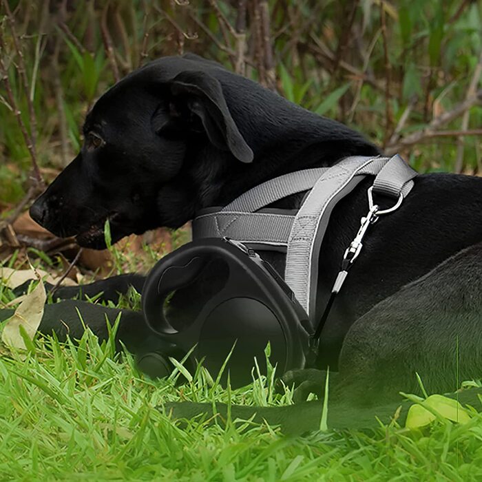 Повідець для собак LFCXHTY, висувний, з дозатором, для маленьких, середніх і великих собак вагою до 100 кг, Нековзна ручка, не сплутується, світловідбиваючий нейлоновий ремінець чорного кольору (включаючи ремінь безпеки). Мішок)