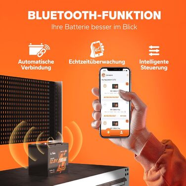 Літієва батарея LiTime LiFePO4 12V 100Ah Bluetooth для автофургону під сидінням GP24